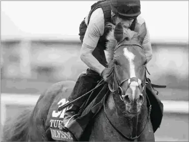  ?? BARBARA D. LIVINGSTON ?? Ulysses finished fourth in last year’s Breeders’ Cup Turf and will target that race this fall.