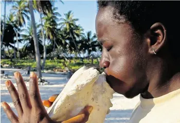  ??  ?? At a base camp on Half Moon Caye, staff blow the concha to let others know it’s meal time.