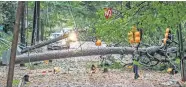  ?? JOURNAL-CONSTITUTI­ON VIA THE ASSOCIATED PRESS] ?? A road is closed Thursday after a large tree and power lines were knocked over by strong winds in Atlanta. Rain bands and damaging winds from Tropical Storm Zeta swept through North Georgia on Thursday morning, leaving nearly 1 million in the dark. [JOHN SPINK/ATLANTA