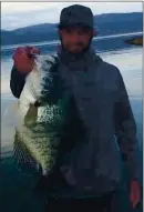  ?? PHOTO BY TERRY KNIGHT ?? The 4.33-pound black crappie caught by David Burruss last week on Clear Lake is now going through the certificat­ion process to become a state record.