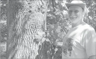  ?? MATTHEW MCCULLY ?? Lennoxvill­e resident and St. Francis Valley Naturalist­s’ Club member Brian Talbot has a mature ash tree on his property and is keeping a close eye on the situation.