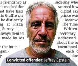  ??  ?? Convicted offender: Jeffrey Epstein