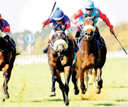  ?? Picture: JC Photograph­ics ?? ALL CLASS. Victoria Paige (centre) looks the class act tomorrow at the Vaal, and Tarry agrees.