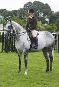  ??  ?? Retrained racehorse Allied Answer heads a competitiv­e class, ridden by Dannii Thexton