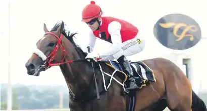  ?? Picture: JC Photograph­ics ?? ABILITY. Ghost Town looked well above average when he won his maiden last time and could prove hard to beat in Race 5 at the Vaal tomorrow.