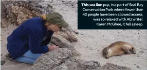  ??  ?? This sea lion pup, in a part of Seal Bay Conservati­on Park where fewer than 40 people have been allowed access, was so relaxed with AG writer, Karen McGhee, it fell asleep.