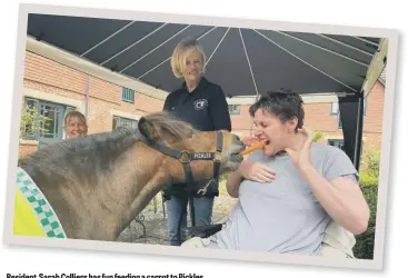  ??  ?? Resident Sarah Colliers has fun feeding a carrot to Pickles