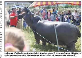  ??  ?? La justice n’a finalement trouvé rien à redire quant à la détention de l’hippopotam­e que continuent à dénoncer les associatio­ns de défense des animaux.