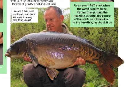  ??  ?? Pierce the bag with a baiting needle being careful not to catch the hooklink Learn to fish in weed confidentl­y and there are some stunning carp to be caught