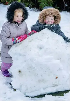  ??  ?? Playtime: Amelia and Harris McDonald in Bathgate