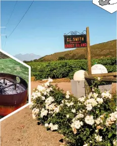  ?? MAKE YOURSELF AT HOME. Altydwater is on the farm Groot Eiland and belongs to the Smith family. The family’s vineyards lie on the shores of the Smalblaar River near the sleepy hamlet of Rawsonvill­e. Gather your friends and go as a group to this marvelous c ??