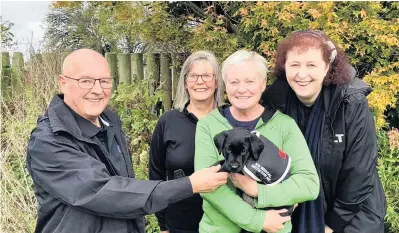  ?? PHOTO: SUPPLIED ?? Onwards and upwards . . . Celebratin­g the gift of Labrador puppy Skye to the K9 Medical Detection training programme are (from left): Invercargi­ll Licensing Trust board member Graham Hawkes, K9MD founder Pauline Blomfield, Flagstaff Kennels owner Claire Penno and ILT board member Angela Newell.