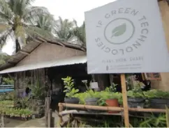  ??  ?? THIS 700-square meter area, which used to be a portion of an automobile repair shop, turns into a flourishin­g integrated urban farm.