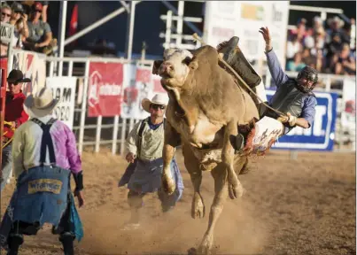  ?? VINCENT OSUNA PHOTO ?? A rider competes in the bull riding event during the 61st annual Cattle Call Rodeo at Cattle
Call Arena in Brawley on Saturday afternoon.