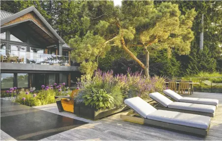  ?? PHOTOS: LUKE POTTER ?? Landscapin­g design should be a meditation, says Ryan Donohoe, founder of Donohoe Living Landscapes. Let the magic unfold.