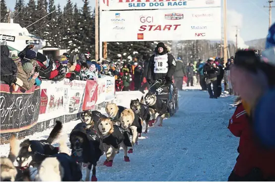  ??  ?? Dogs are subject to random drug testing before and during the Iditarod. — Photos: AP