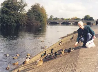  ??  ?? MR DEPENDABLE: A look back through the archives shows Pat Phelan feeding the ducks on the banks of the Blackwater in the town, back in October 1999. (Pic: The Avondhu Archives)