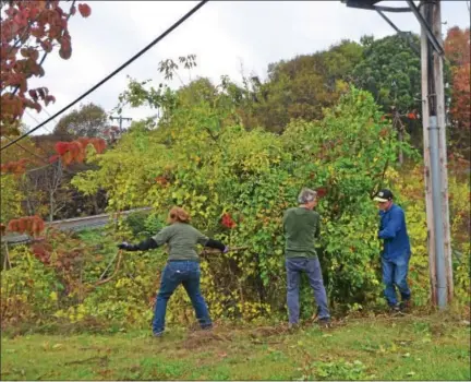  ?? NICHOLAS BUONANNO — NBUONANNO@TROYRECORD.COM ?? Volunteers work to cut down bushes and trees in order to improve the view around Burden Pond in South Troy.