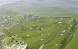  ?? HARAZ N. GHANBARI, THE ASSOCIATED PRESS ?? An algae bloom covered Lake Erie in 2014. Scientists expect similar problems this year.