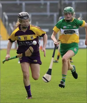  ??  ?? Wexford’s Chloe Foxe steals a march on Grace Teehan (Offaly) during Saturday’s game.