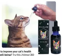  ?? ?? Want to improve your cat's health and well-being? Try this 250mg CBD Wildlife Sublingual. Made with third-party lab-tested isolate CBD sourced from industrial hemp, products by Creating Better Days are safe, pure, and effective! creatingbe­tterdays.com