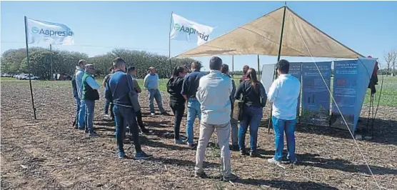  ?? (LA VOZ) ?? Jornada. Las regionales Alta Gracia, Monte Cristo y Río Segundo de Aapresid mostraron su año de trabajo en el Campo Escuela de la FCA-UNC.