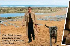  ??  ?? Yvan Attal, ici avec Stupide, le chien, un duo à la fois drôle et touchant.