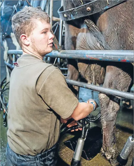  ??  ?? marketin’g Way, Taratahi and communicat­ions manager
Hands on: Taratahi student Domenic Clentworth learnt with real work experience.