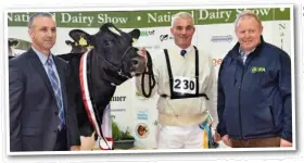  ??  ?? Rickey Barrett from Togher, Co Cork with Laurelelm Fever Brilliant, the best three-year-old heifer at the National Dairy Show 2017, with show judge Brian Carscadden from Canada and former IFA Dairy Chairman Sean O’Leary