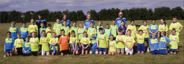  ??  ?? Players and coaches at the Carnew Emmets Cúl Camp.