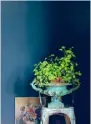  ??  ?? A PAINTER’S PALETTE Blues are a popular choice for a wall colour and work well as a tonal backdrop to green. Create a light and bright space with soft and gentle blue paint tones or, for a little more impact, try a deep, intense shade all over or up to dado-height