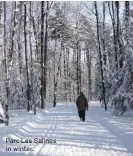  ??  ?? Parc Les Salines in winter.