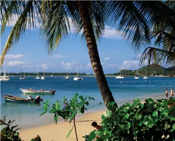  ??  ?? Peach of a beach: Rodney Bay, where you can dive for giant sea shells, or simply unwind