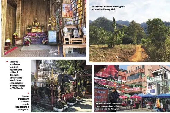  ??  ?? L’un des nombreux temples bouddhiste­s visités à Bangkok. Une activité touristiqu­e et spirituell­e incontourn­able en Thaïlande.
Statue d’éléphant dans un temple bouddhiste à Chiang Mai.
Randonnée dans les montagnes, au nord de Chiang Mai.
Khaosan Road, l’une des rues les plus touristiqu­es et animées de Bangkok.