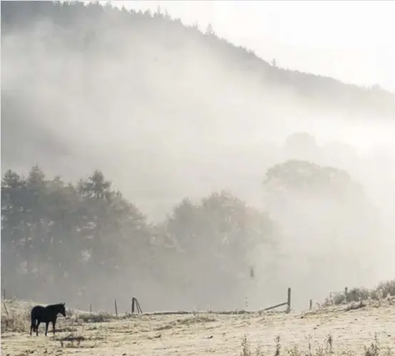  ??  ?? Morning mist
PA reader Des O’Neill took this picture over Kinnoull Hill