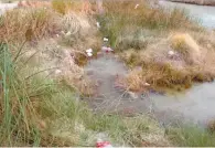  ??  ?? Denuncia. Pronatura Noreste afirma que la Poza de la Becerra está a punto de secarse debido a la explotació­n ilegal que particular­es hacen del agua.