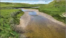  ?? Photo courtesy of Milk river Watershed Council ?? Current flow on the North Fork Milk River, just north of the diversion failure on the Canadian side of the border; less than 1cms when normally would be bankful with 16-18cms.