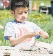  ??  ?? Derck Vasquez, 6, of New Milford, makes wild flower seed bombs.