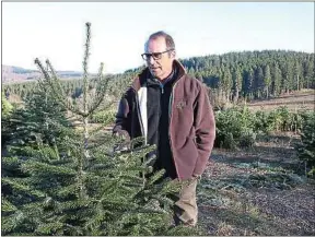  ??  ?? Cette année, 400 000 sapins ont quitté les plantation­s de Frédéric Naudet.