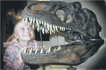  ??  ?? Abbie Drydale peers into the jaws of an Allosaurus 164018a, while Sarah Phillips, below, enjoys the day 164018b