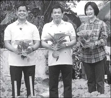  ?? RUDY SANTOS ?? President Duterte, Presidenti­al Security Group chief Brig. Gen. Rolando Joselito Bautista and Tarlac Heritage Foundation chairperso­n Isa Cojuangco Suntay show off the newly harvested pechay and other vegetables planted in an idle land at the PSG compound in Malacañang Park on Monday afternoon. The vegetables were distribute­d to the needy, including those in Hospicio de San Jose, an orphanage near the Palace and in drug rehabilita­tion centers.