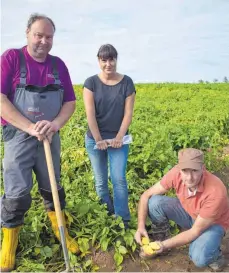  ?? FOTO: FWI ?? Anton Wagner präsentier­t zusammen mit Corinna Fuchs vom landwirtsc­haftlichen Beratungsd­ienst für Kartoffela­nbau Heilbronn e. V. und Markus Scharpf von Europlant (von links) die Kartoffeln aus dem Kartoffels­ortenversu­ch.