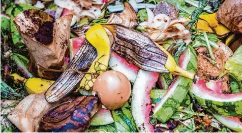  ?? Foto: animaflora, stock.adobe.com ?? Bananensch­alen, Eier, Kaffeefilt­er und Melonenres­te – darf das eigentlich alles auf den Biomüll? Ja, darf es. Nachdem die Müllabfuhr die Küchenrest­e abgeholt hat, entstehen daraus Biogas, Strom und Kompost.