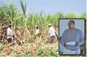  ??  ?? Small-scale sugarcane farmers in Chiredzi. Inset: Tongaat Hullet executive outgrower operations Mr Ushe Chinhuru addressing farmers during ZSDA AGM in Hippo Valley on Friday