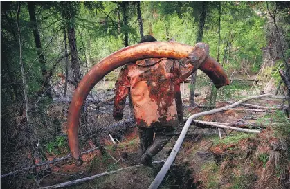  ?? Pictures / Amos Chapple ?? With a 65kg tusk like this one fetching $34,000 the black market is turning hunters into millionair­es, but the mining in Siberia’s Yakutia region is polluting waterways and ruining precious heritage areas (below).