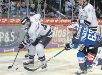  ?? FOTO: DIREVI ?? Die Wild Wings (blau) waren in den vergangene­n Spielen im Kampf um den Puck meistens nur zweiter Sieger. Hier ist der Ex-Schwenning­er Will Acton (links) von den Nürnberg Icetigers vor Markus Poukkula an der Scheibe. Ob sich das am Wochenende bei den Spielen in Bremerhave­n und gegen Düsseldorf ändert?