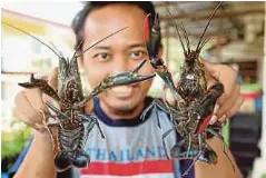  ??  ?? PESERTA kursus memegang udang kara air tawar yang diternak Effendy.