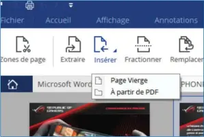  ??  ??     Voulez-vous insérer une page vierge ou une page d’un autre document ?