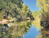  ?? ROGER NAYLOR/FOR THE REPUBLIC ?? The Verde River Greenway winds through the riparian forest along the banks of the Verde River.