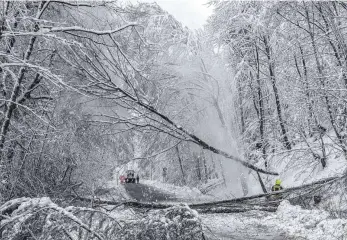  ?? FOTO: DPA ?? Feuerwehr und Rettungskr­äfte, hier bei Schaufling in Bayern, sind im Dauereinsa­tz.